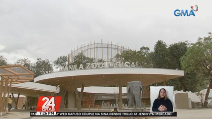 Ilang hayop, inilipat na sa bagong renovate at world class na Manila Zoo | 24 Oras