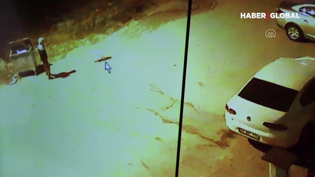 Denizli Pamukkale'de çocuğu ısıran pitbull cinsi köpeğin sahibine 12 bin lira ceza