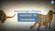 FEMME ACTUELLE - Horoscope chinois du jour du vendredi 26 novembre 2021, le Tigre de Terre