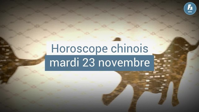 FEMME ACTUELLE - Horoscope chinois du jour du mardi 23 novembre 2021, le Cochon de bois