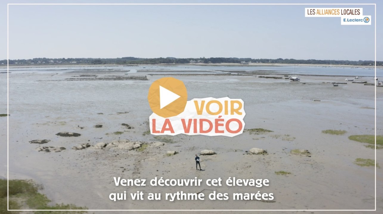 Des Régions à Croquer : Teaser de l'épisode des huîtres