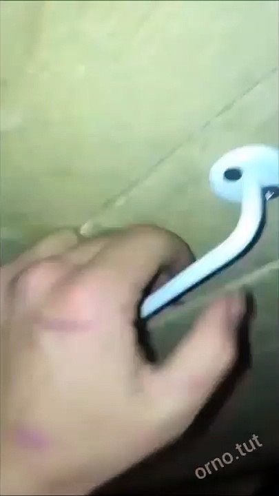 Quand un chat veut rentrer dans la maison... un gros chat