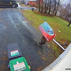 Un livreur UPS très consciencieux