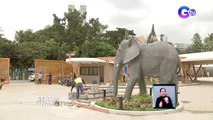 Manila Zoo, planong buksan sa publiko sa 2nd quarter ng 2022 | SONA