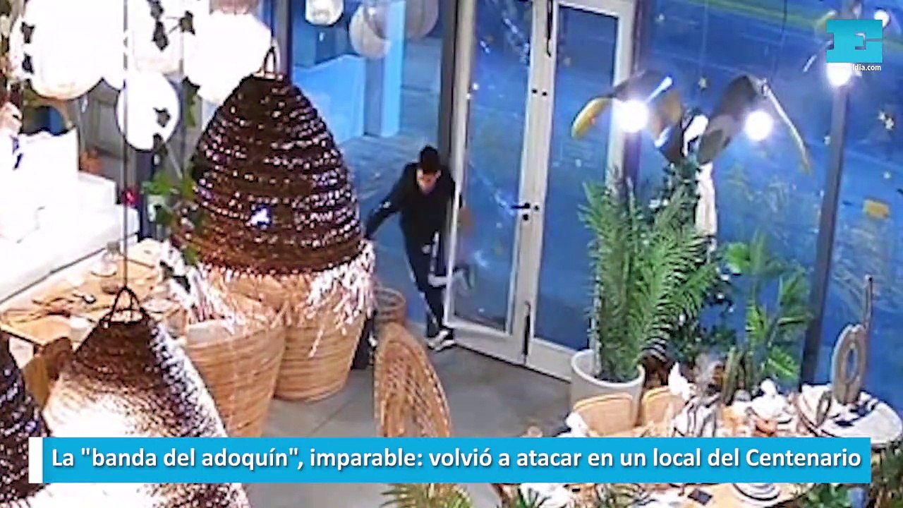 La banda del adoquín imparable volvió a atacar en un local del Centenario