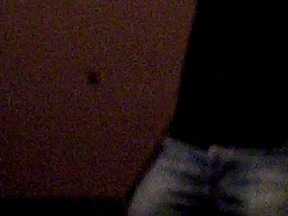 Romain défoncé dansant la tecktotonique