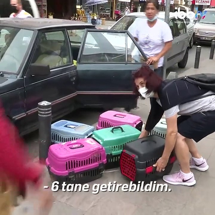 İmamoğlu’ndan sokak hayvanları hakkında açıklama: Olması gereken budur