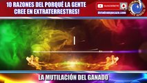 10 cosas que no sabías de los Extraterrestres