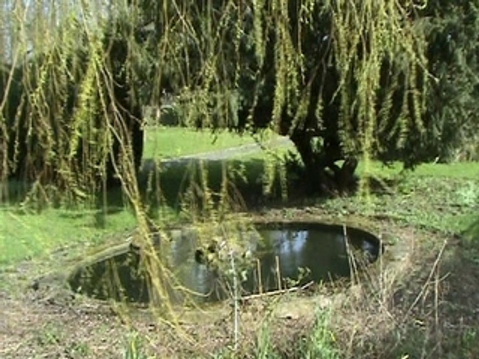 Secret Garden côté jardin