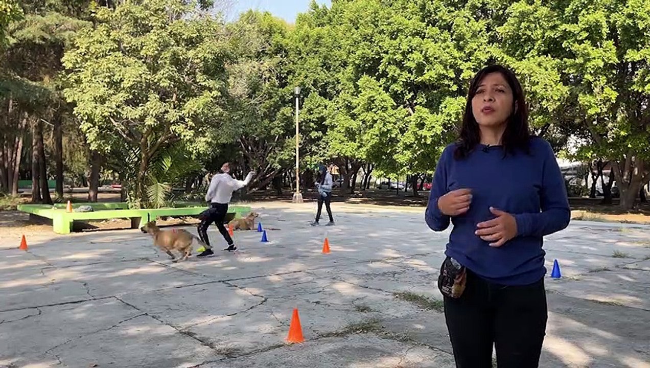 OFICIOS | Entrenadora de perros Adriana García