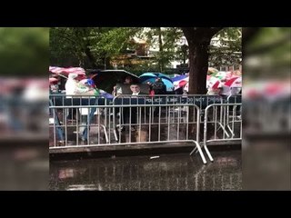 الجالية المصرية في أمريكا تنظم وقفة أمام الأمم المتحدة لدعم السيسي