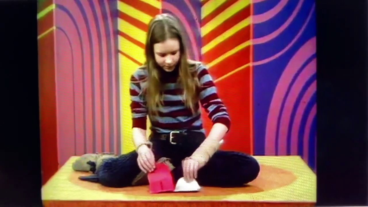 Zoom Do - Paper Heart Basket (1973)