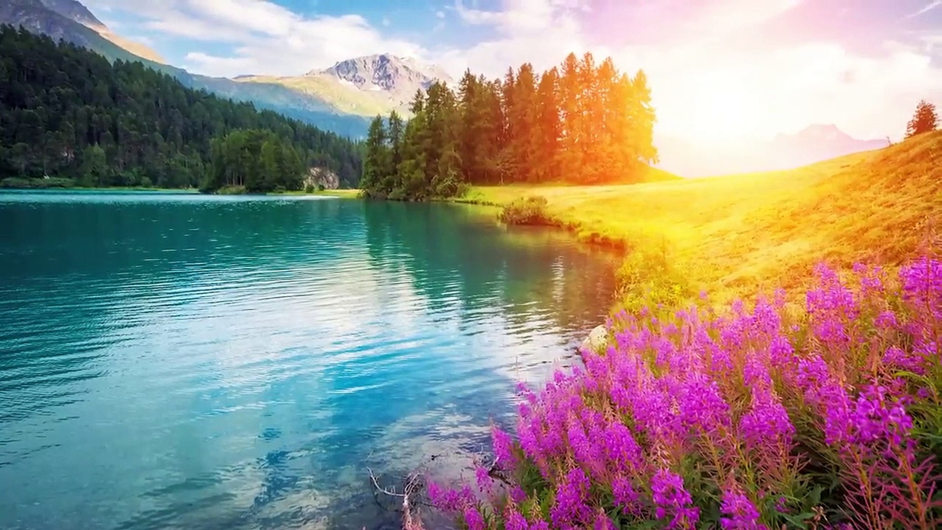 Deep sleep music Meditation music Relaxation music