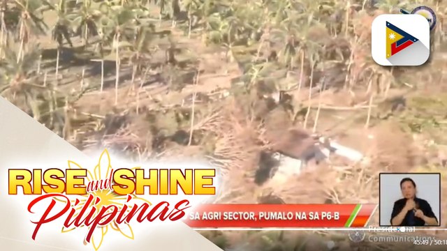 Pinsala ng bagyo sa sektor ng agrikultura, pumalo na sa P6-B