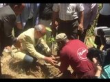 محافظ قنا يطلق حملة المليون شجرة ضمن مبادرة السيسي