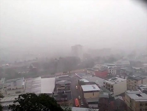 Temporal com ventos de até 77 km/h derruba postes e árvores em Juiz de Fora