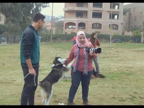 من مصورة أفراح إلى حيوانات.. نهلة بحب تصوير الكلاب أكتر من البني آدمين