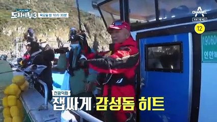 [예고] 2021 가거도, 감성돔 열전 마지막 승부의 현장!