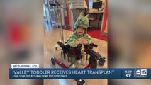 Valley toddler receives heart transplant before Christmas