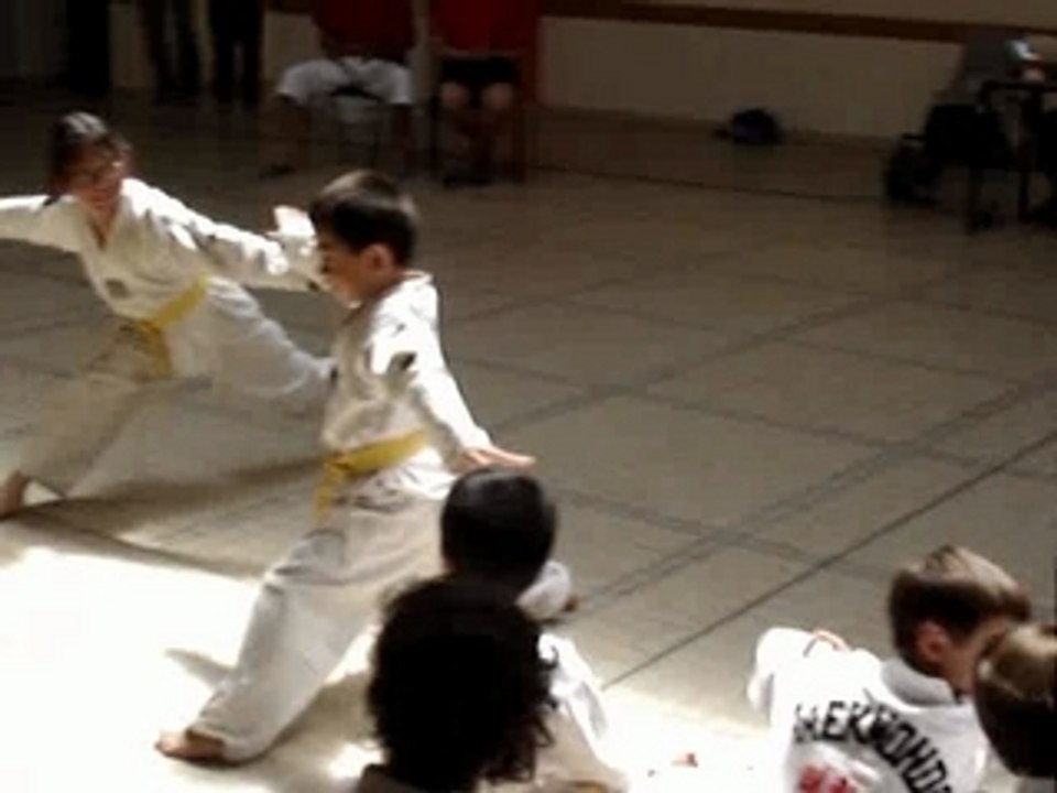Demo Petit Neyron Taekwondo Juin 2007