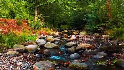 peaceful music  ll NCS music ll