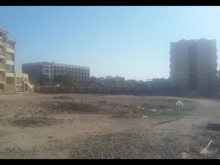 مدرسة الصبح وغرزة بالليل.. مخدرات وحيوانات داخل عبدالله حسين بأسوان