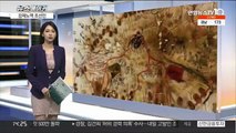 [뉴스메이커] 강제노역 조선인