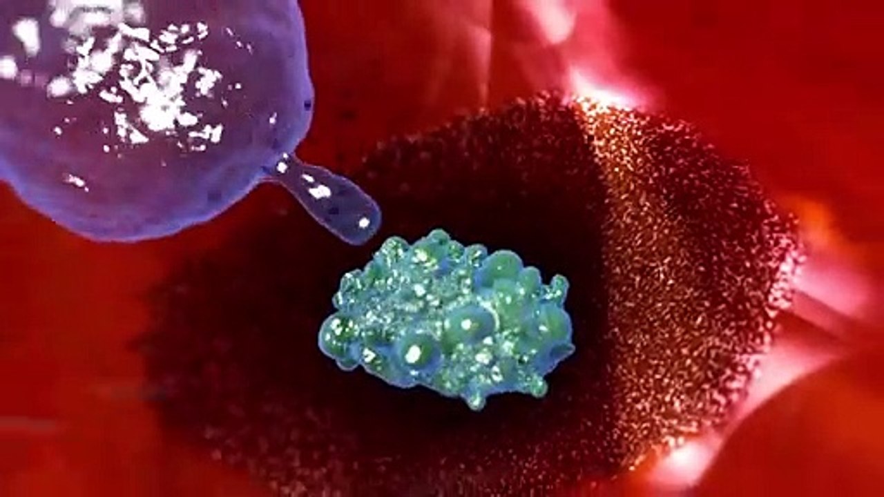 Vaccination et système immunitaire