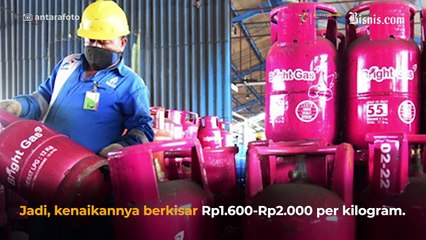 Harga LPG Nonsubsidi Naik, Pertamina: Jangan Malah Beralih ke Gas Melon!