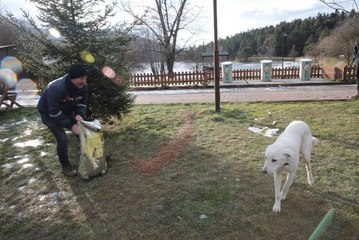 Gölcük Tabiat Parkı'nda sokak hayvanları için yem bırakıldı