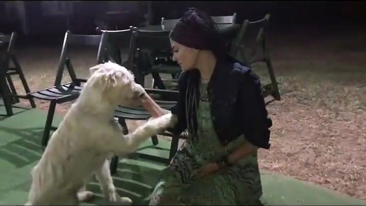 Oyuncu Deniz Çakır: Sokak hayvanları hayatımızın parçasıdır, dostlarımız onlar