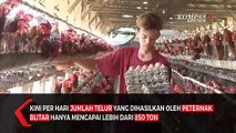 Harga Telur di Jatim Mahal, Ini Sebabnya