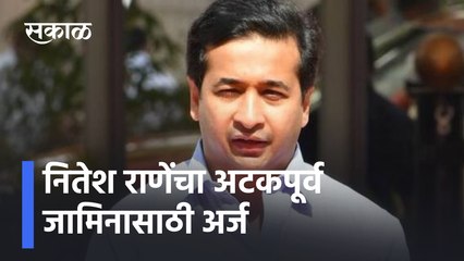 Download Video: Nitesh Rane's pre-arrest bail application |  नितेश राणेंचा अटकपूर्व जामिनासाठी अर्ज | Sakal Media