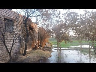 حرائق متكررة دون أسباب بحقول  زراعية في قرية جنوب بني سويف