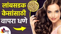 लांबसडक केसांसाठी धण्याचा रामबाण उपाय |How To Use Coriander Water for Hair Growth |Hair Growth Hacks