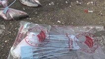 Aslantaş Barajı'nda korkutan tablo... Binlerce ölü balık kıyıya vurdu
