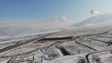 Ağrı Dağı kar tutmaya başladı