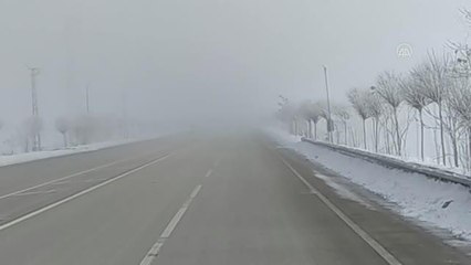 Van'da sis ulaşımı etkiledi