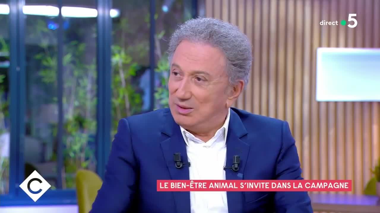Que Devient Michel Drucker En 2022 Michel Drucker surprend en dévoilant son intention de vote à l'élection  présidentielle de 2022 : Femme Actuelle Le MAG