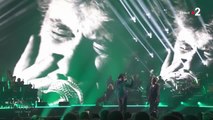 FEMME ACTUELLE - Concert hommage à Johnny Hallyday :  Kad Merad bluffe le public avec sa prestation