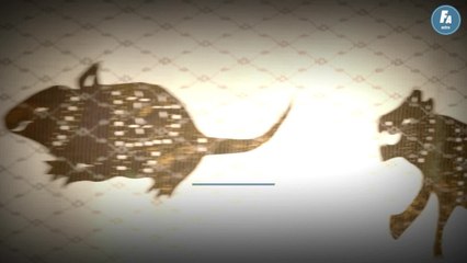 FEMME ACTUELLE - Horoscope chinois du jour, Dragon de Feu, du dimanche 5 septembre