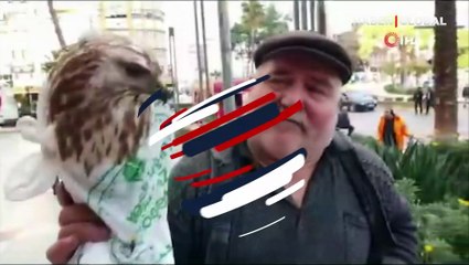 Bitkin haldeki şahini kurtaran vatandaş: "Hakkı Bulut'un kasetini dinleyince kendine geldi"