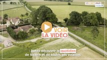 Des Régions à Croquer : Teaser de l'épisode volailles