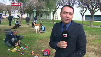 Barınaklara bırakılan köpekler rehabilite ediliyor