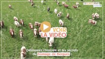 Des Régions à Croquer : Teaser de l'épisode fromage de Bergues