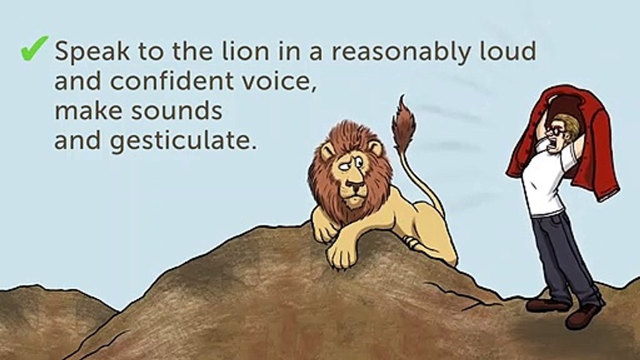 13 Tips on How to Survive Wild Animal Attacks