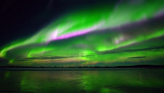 Real-Time Northern Lights Dancing Over Fairbanks, Alaska