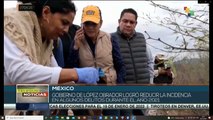 TeleSur Noticias 13: 30 28-12: Gobierno de López Obrador reduce delitos en 2021
