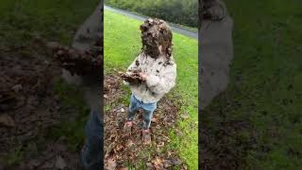 Little Girl Puts on a Mud Mask