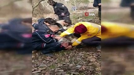 Kaybolan yaşlı adam ağaç kenarında uyurken bulundu